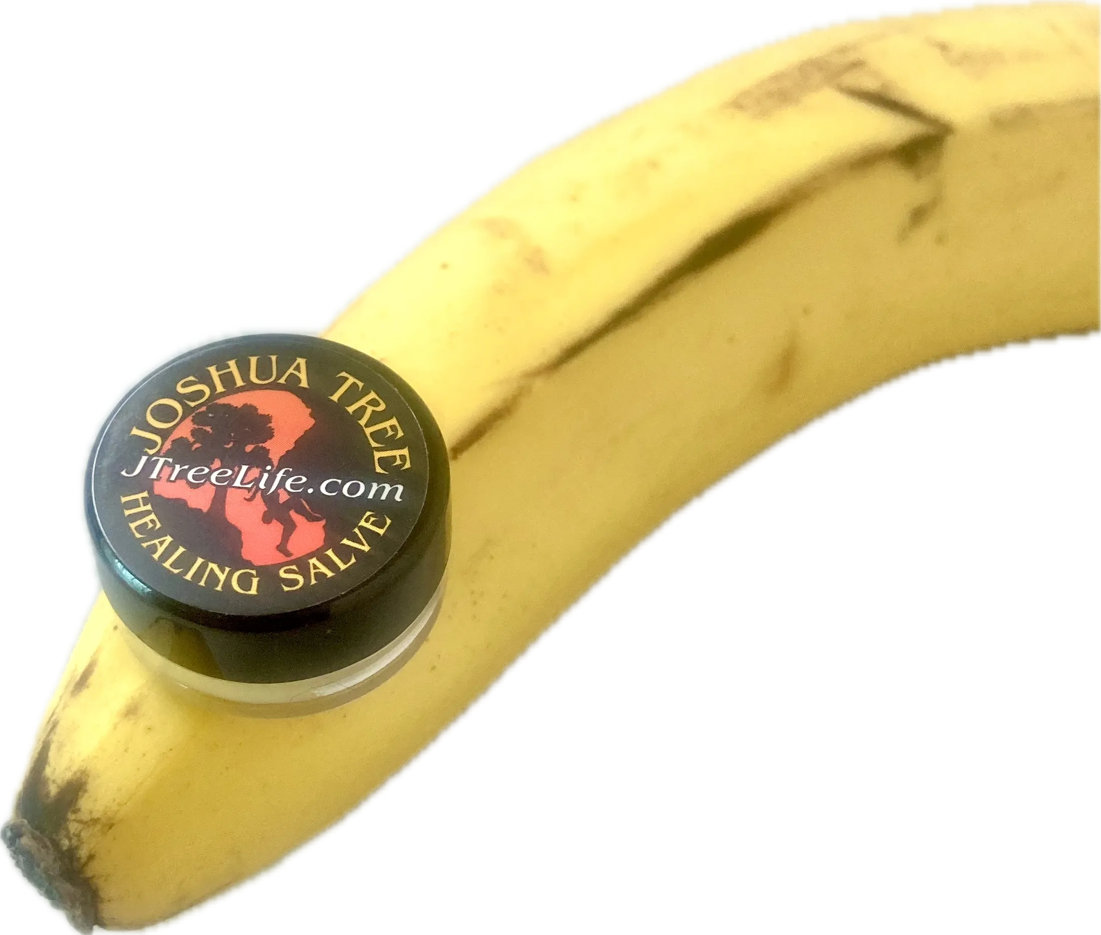 the OG JTree Salve! - pick your label