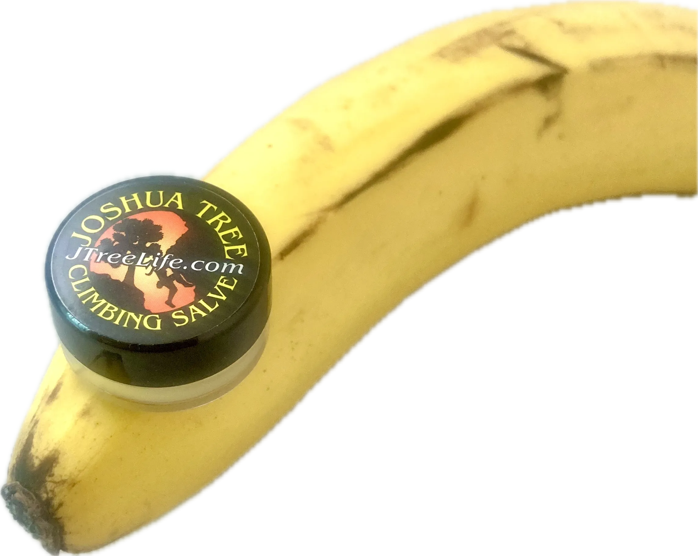 the OG JTree Salve! - pick your label